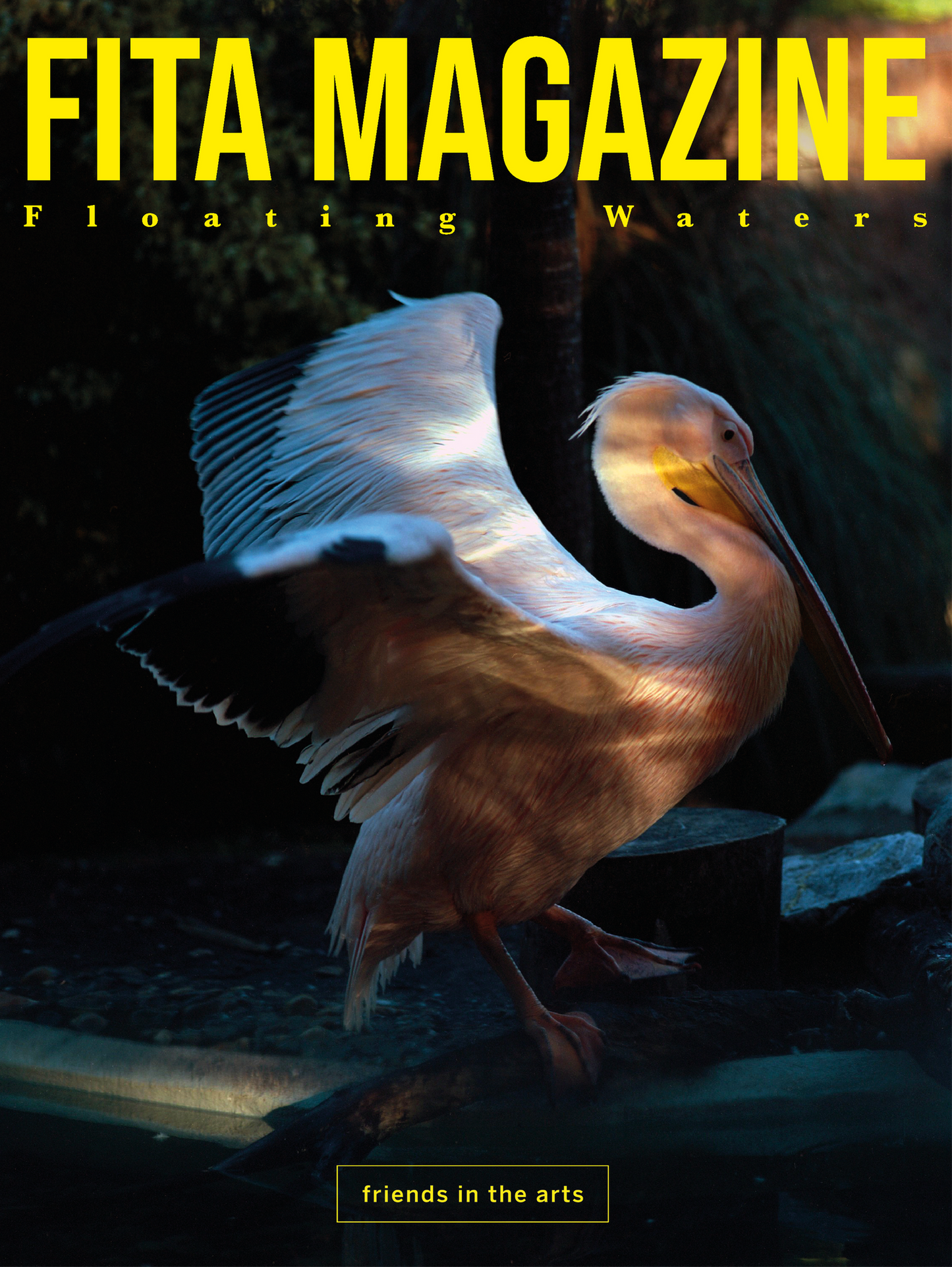 FITA Magazine