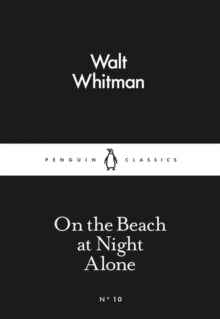 On the Beach at Night Alone
