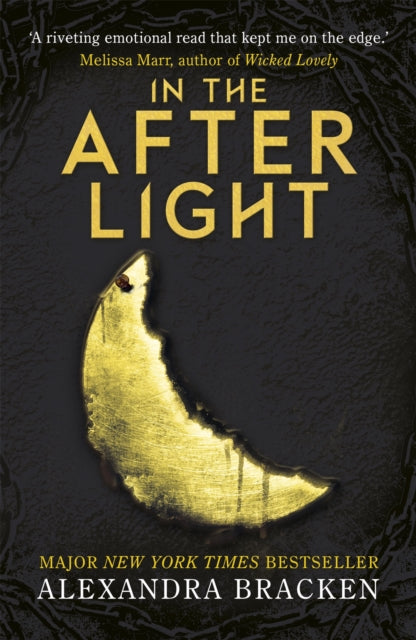 In the Afterlight: Book Three of The Darkest Minds Series