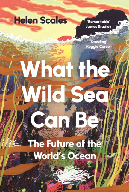 What the Wild Sea Can Be
