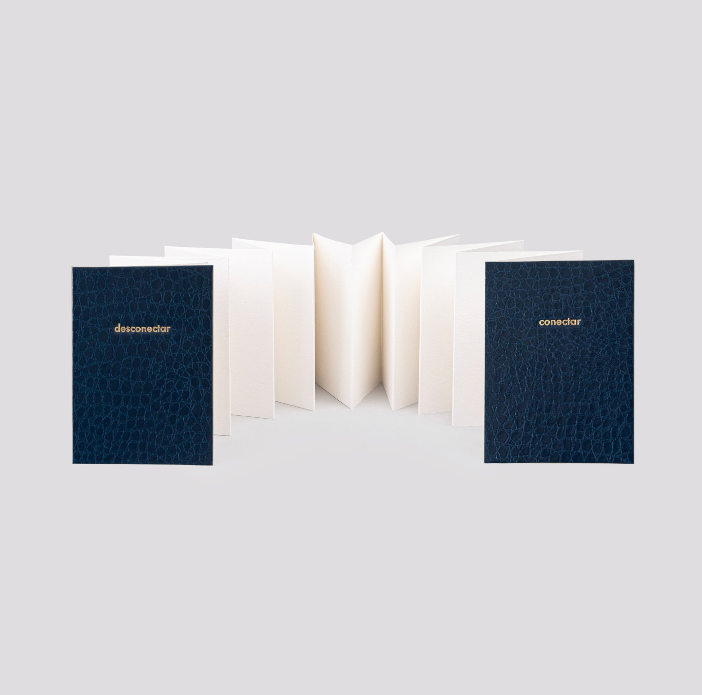 Leporello (Accordion Notebook)
