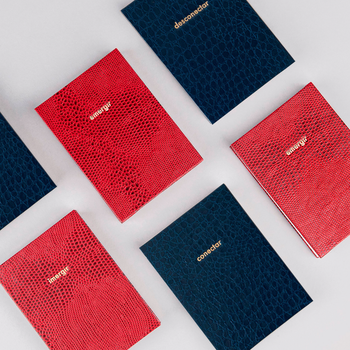 Leporello (Accordion Notebook)