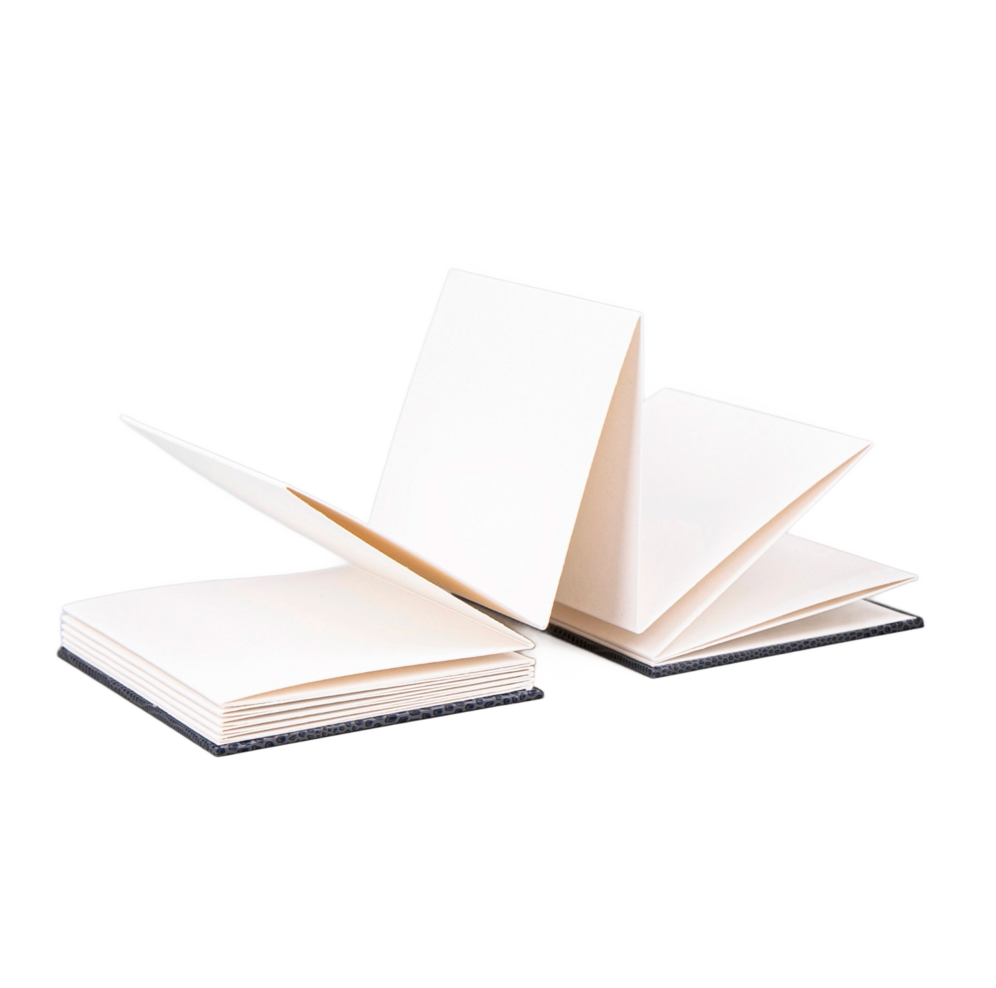 Leporello (Accordion Notebook)