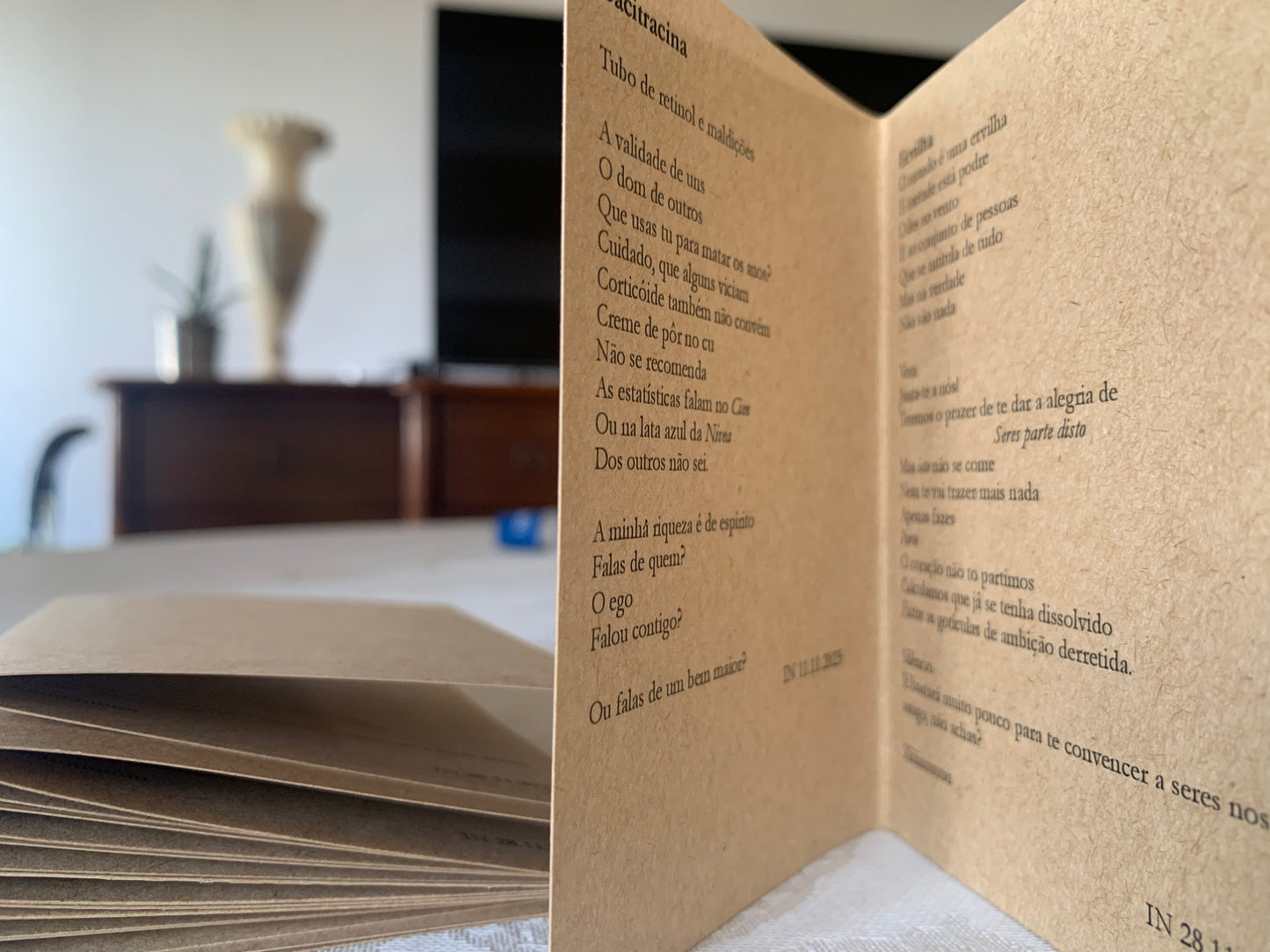 Livrete Poemas Inês Nunes